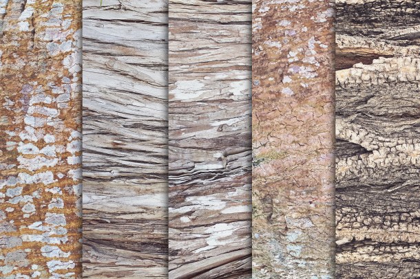 3 Tree Bark Textures Vol 1 x10 (1820)